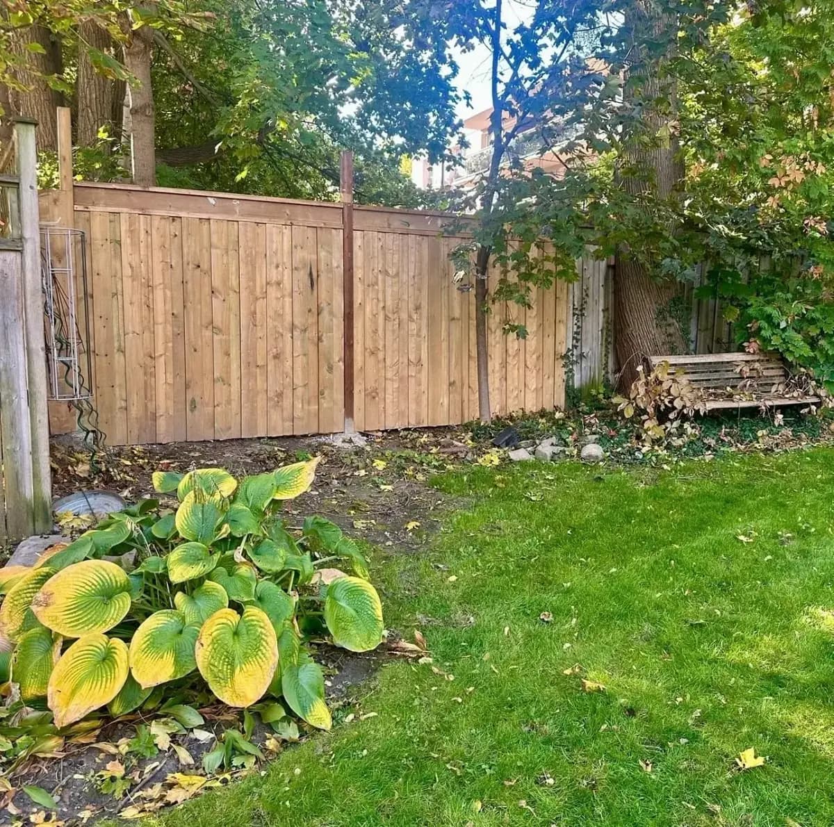 After: new cedar fence built by Task Magic Handyman with the yard cleared